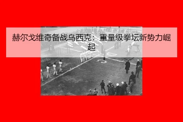 he-er-ge-wei-qi-bei-zhan-wu-xi-ke-zhong-liang-ji-quan-tan-xin-shi-li-jue-qi-3-181.jpg