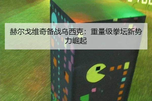 赫尔戈维奇备战乌西克：重量级拳坛新势力崛起